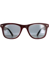 Montana - Square Burgundy Rubbertouch Polarized Mp41 Sunglasses - Lyst