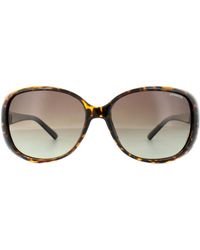 Polaroid - Butterfly Havana Gradient Polarized Sunglasses - Lyst