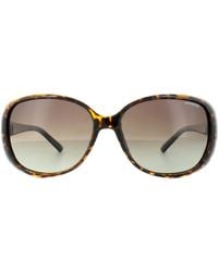Polaroid - Butterfly Havana Gradient Polarized Sunglasses - Lyst