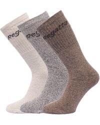 Regatta - Great Outdoors Cotton Rich Casual Socks (Pack Of 3) - Lyst
