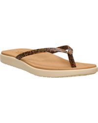 HEYDUDE - Maui Breeze Polyurethane Leopard Flip Flops Pu - Lyst