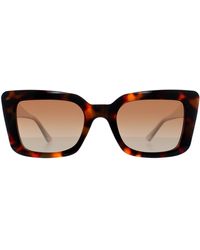 Privé Revaux - Prive Cat Eye Tortoise Gradient Buena Vista 2.0 - Lyst