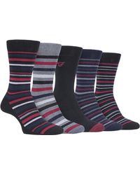 Farah - 5 Pack Thin Breathable Classic Striped Patterned Soft Top Cotton Dress Socks - Lyst