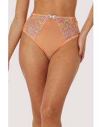 Playful Promises - Felicity Hayward X Pp Palm Bay Embroidery Suspender Belt - Lyst