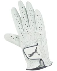 PUMA - Pro Performance Right Hand Leather Golf Glove 041258 01 - Lyst