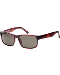Ferragamo - Sf960S-214 Sf960S 58 214 Fashion Sunglasses - Lyst
