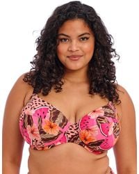 Elomi - Cabana Nights Plunge Bikini Top - Lyst