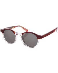 Zen - Z518 Pantos Shaped Acetate Sunglasses - Lyst