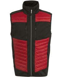 Regatta - Adult E-Volve Thermal Hybrid Body Warmer (Classic/ - Lyst