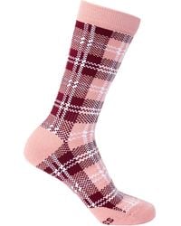 Trespass - Adult Fergus Checked Socks (Dark Cherry) - Lyst