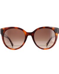 Tommy Hilfiger - Cat Eye Havana Gradient Th 1885/S - Lyst