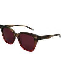 Calvin Klein - Ck4359S 54 022 Sunglasses - Lyst