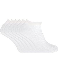 Sock Snob - 100% Cotton Ankle Socks - Lyst