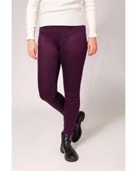 Secret Label - Cotton Rich Jeggings - Lyst