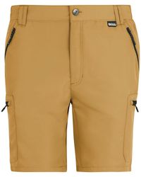 Regatta - Leesville Iii Shorts (Wood) - Lyst