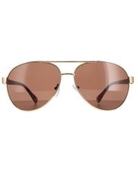 Calvin Klein - Aviator Ck19316S Metal (Archived) - Lyst