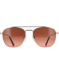 Serengeti - Aviator Shiny Rose Mineral Drivers Gradient Carroll Metal - Lyst