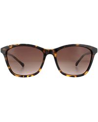 Ted Baker - Sunglasses Tb1440 Tari 122 Havana Gradient - Lyst