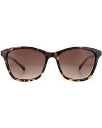Ted Baker - Sunglasses Tb1440 Tari 122 Havana Gradient - Lyst