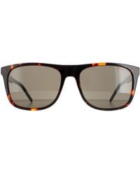 BOSS - Hugo Van Rectangle Mannen Havana Grijs Bruin Hg 1194/s - Lyst