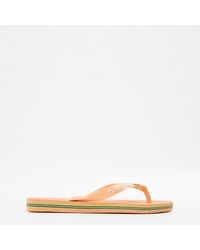 Havaianas - Hav. Brasil Logo Ruby Flip Flops - Lyst