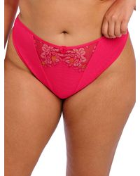 Elomi - Teagan Thong - Lyst