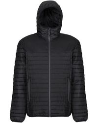 Regatta - Recycled Padded Jacket - Lyst