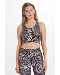 Sosandar - India Leopard Print Racerback Sports Bra - Lyst