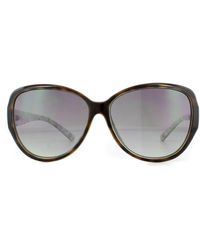 Ted Baker - Sunglasses Tb1394 Shay 112 Tortoise Gradient - Lyst