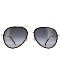Carrera - Aviator Dark Havana Gradient Sunglasses - Lyst