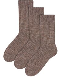 Steve Madden - 3 Pairs Multipack Alpaca Wool Socks - Lyst