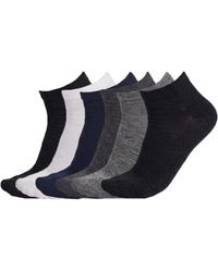 Pro Socks - 6 Pairs Seamless Low-Cut S9101 - Lyst