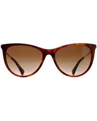 Ralph Lauren - By Cat Eye Shiny Havana Gradient Ra5290 - Lyst