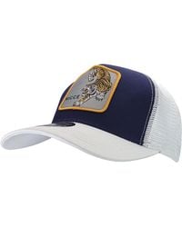 Nicce London - Tiger Print Cotton Cap - Lyst