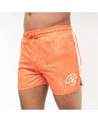 Crosshatch - Salsola Shorts - Lyst