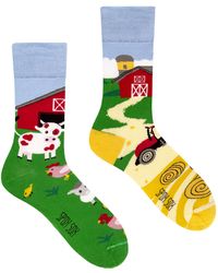 SPOX SOX - Ladies Mismatched Novelty Odd Socks - Lyst