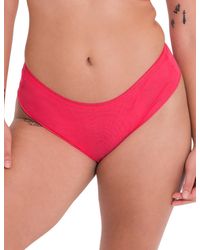 Curvy Kate - Lifestyle Short - Lyst