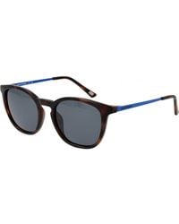 Skechers - Se6283 5052D 50 52D Sunglasses - Lyst
