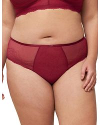 Triumph - 10213134 Mirage Spotlight Maxi Brief - Lyst