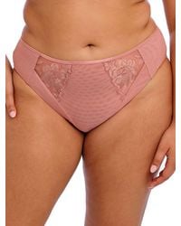 Elomi - Teagan High Leg Brief - Lyst