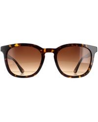 Police - Square Shiny Dark Havana Gradient Splb42 Origins 36 - Lyst