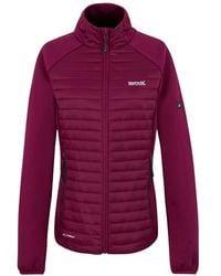 Regatta - Ladies Clumber Hybrid Jacket (Dark Pimento) - Lyst