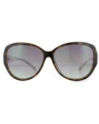 Ted Baker - Sunglasses Tb1394 Shay 112 Tortoise Gradient - Lyst