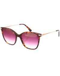 Longchamp - Lo660S Butterfly Shaped Acetate Sunglasses - Lyst