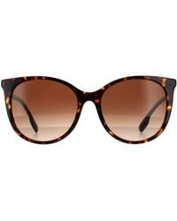 Burberry - Cat Eye Dark Havana Gradient Sunglasses - Lyst