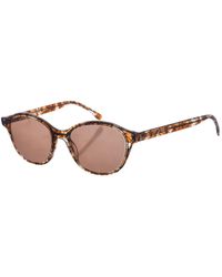 Zen - Z470 Oval Shape Acetate Sunglasses For - Lyst