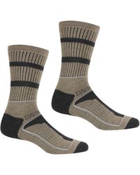 Regatta - Samaris 3 Season Socks (Pack Of 2) (Moccasin/Briar) - Lyst