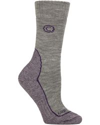 Country Pursuit - Ladies Wool Blend Cushioned Walker Socks For Hiking & Outdoor Comfort - Lyst