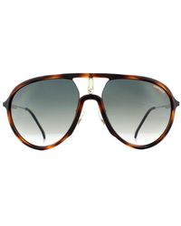 Carrera - Aviator Dark Havana Gradient Sunglasses - Lyst