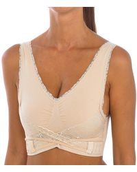 Intimidea - Padded Push-Up Bra - Lyst